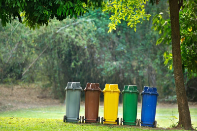 recycling bins, what you can recycle